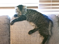 Hermes on top of couch CRW 6132